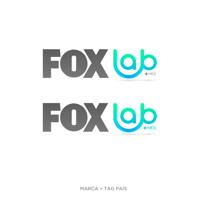 FOX LAB / BRANDING 3