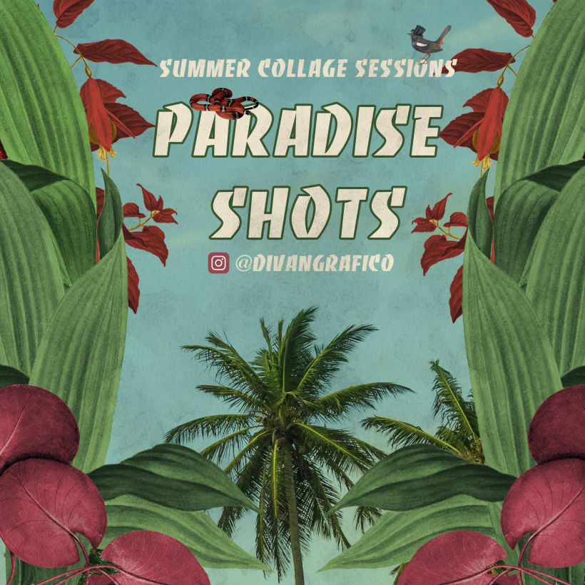 Paradise shots