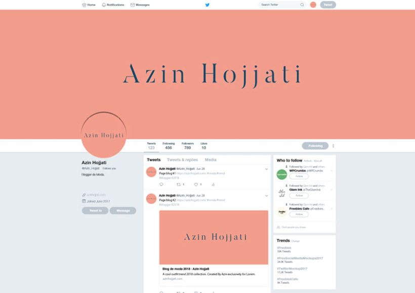 Propuestas de logotipo - Azin Hojjati 5