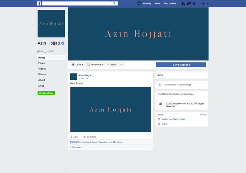 Propuestas de logotipo - Azin Hojjati 23