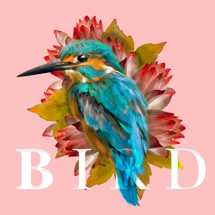 BIRD: Estampado textil con técnicas digitales -1