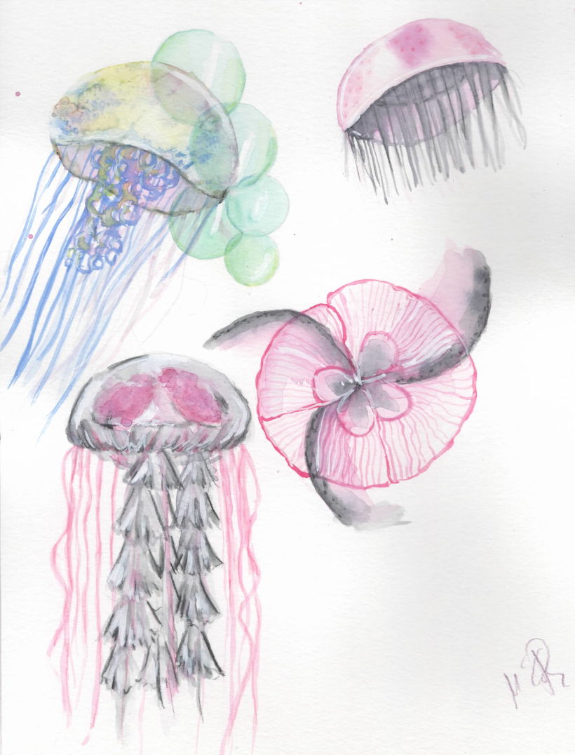 Primeras medusas