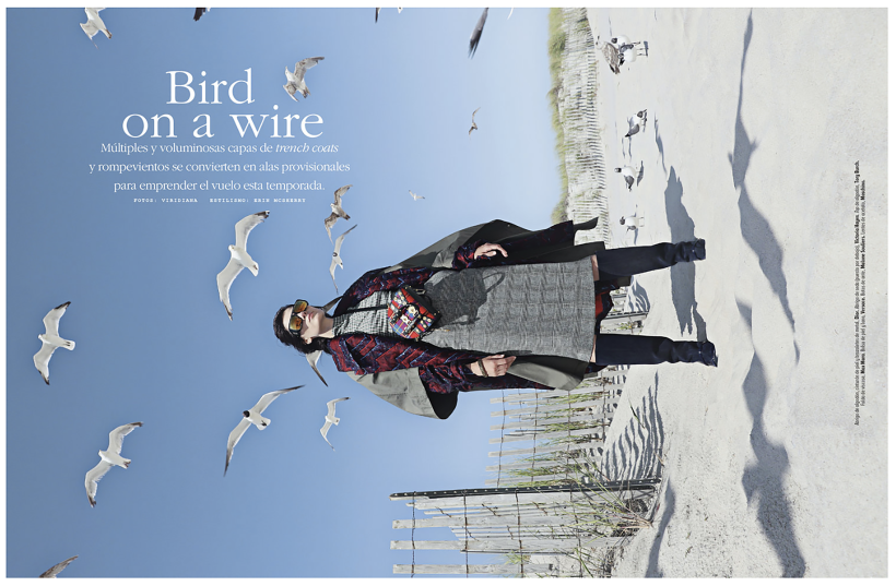 BIRD ON A WIRE (MARIE CLAIRE) 0