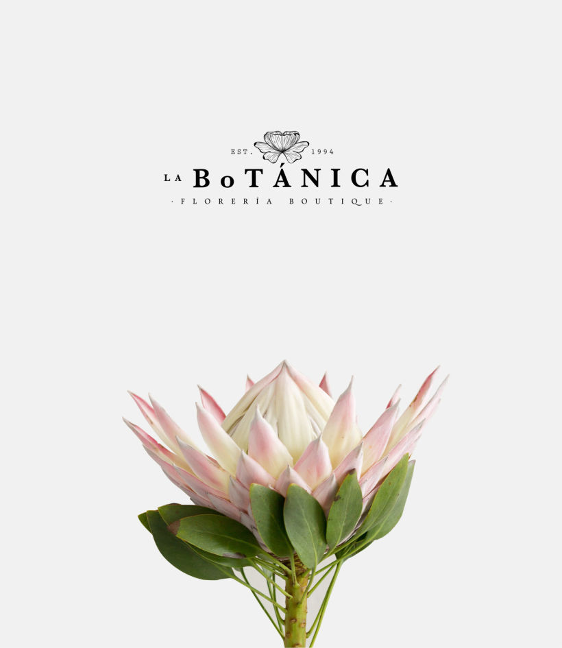 La Botánica -1