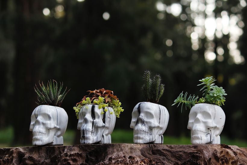 "Día de muertos" macetas de cerámica marmoleada.