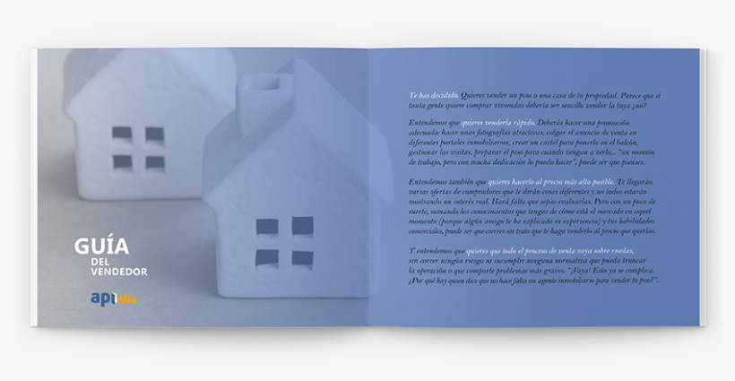 Diseño de Guías Inmobiliarias 8