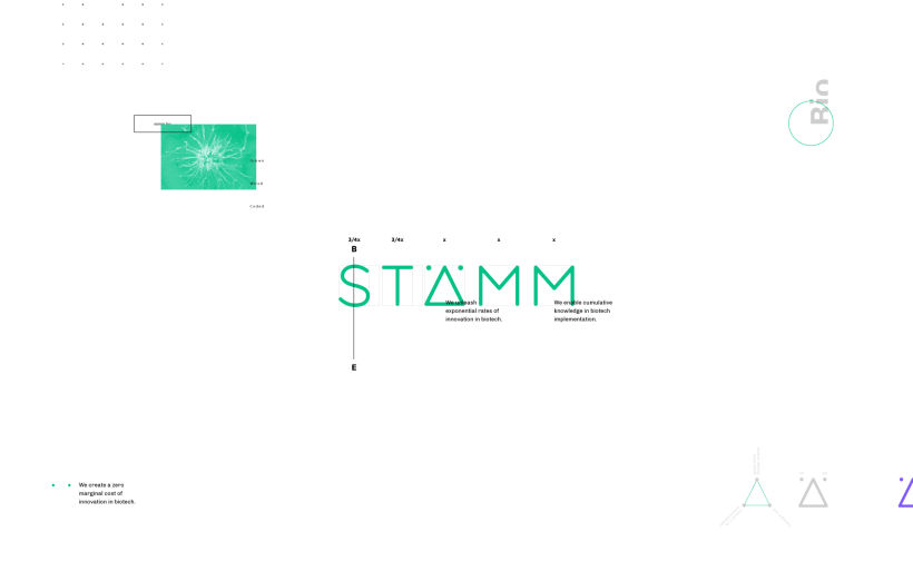 Stämm / Biotech Company 1