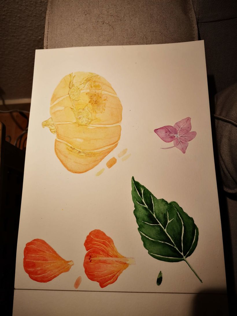 hibiscus y calabaza