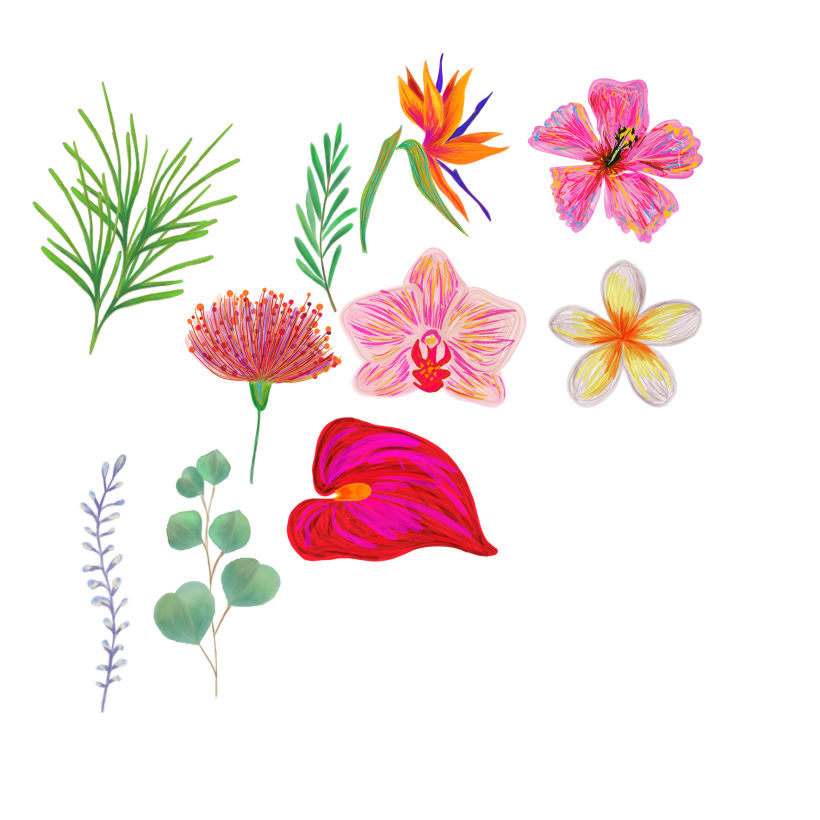 Inspiración Floral. Use acuarela, lápices de colores y marcadores de diferentes puntas