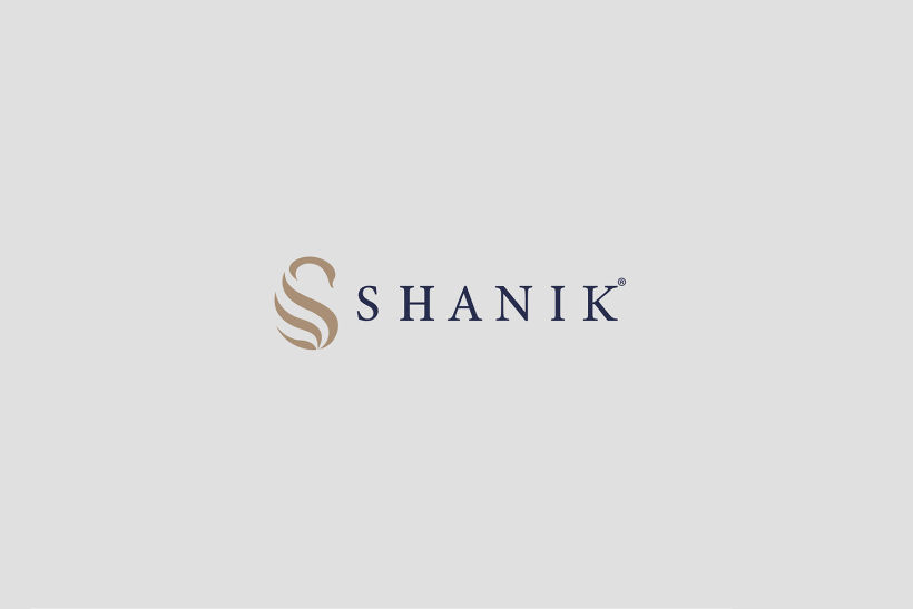 Manual de identidad corporativa - Shanik 2