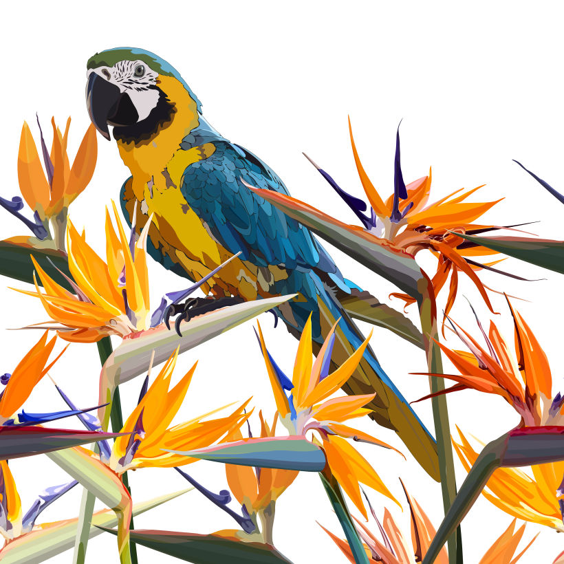 Vector seamless background with parrot and flowers 0