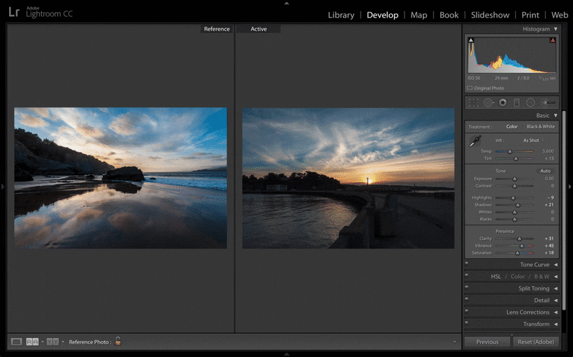 Interfaz Adobe Camera Raw