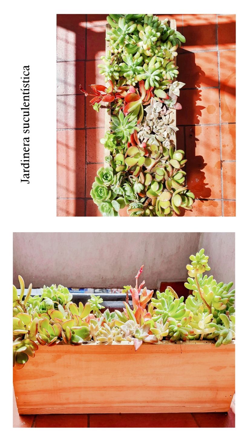 Mi Proyecto del curso: Diseño y creación de composiciones botánicas 0