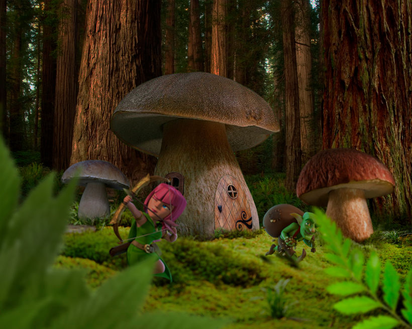 Mushroom World 1
