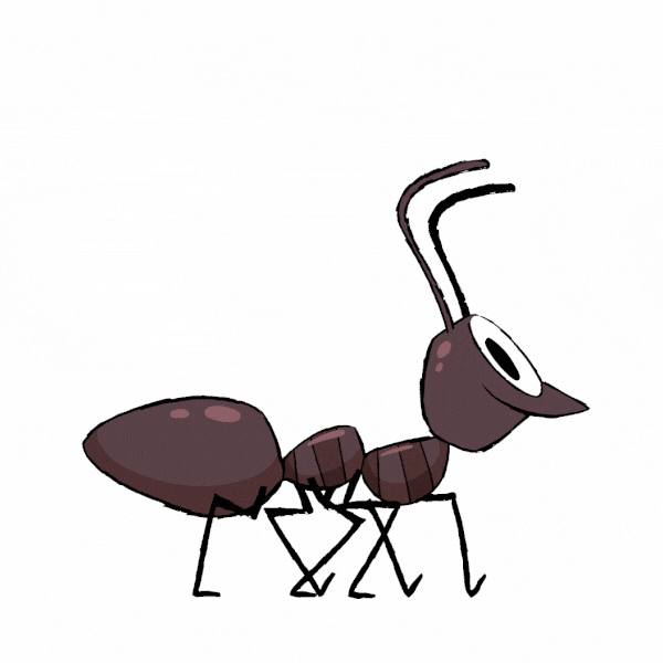 Lali BeGood — La vida secreta de les formigues 2