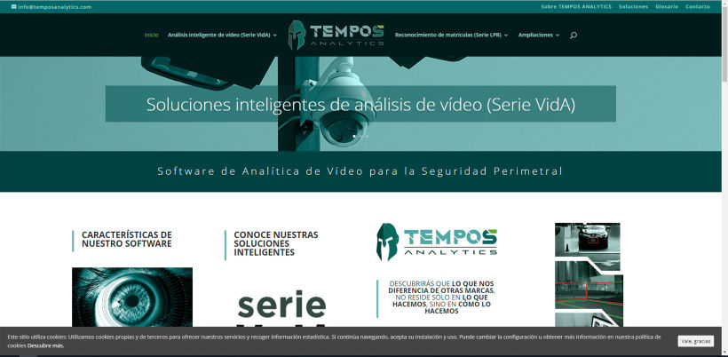 Sitio web de Tempos Analytics 1