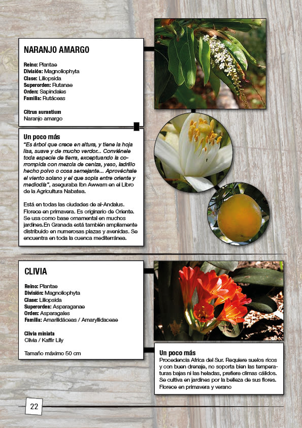 Catálogo Plantas de Málaga 4