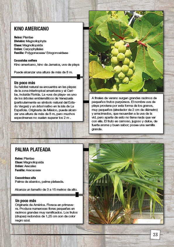 Catálogo Plantas de Málaga 5