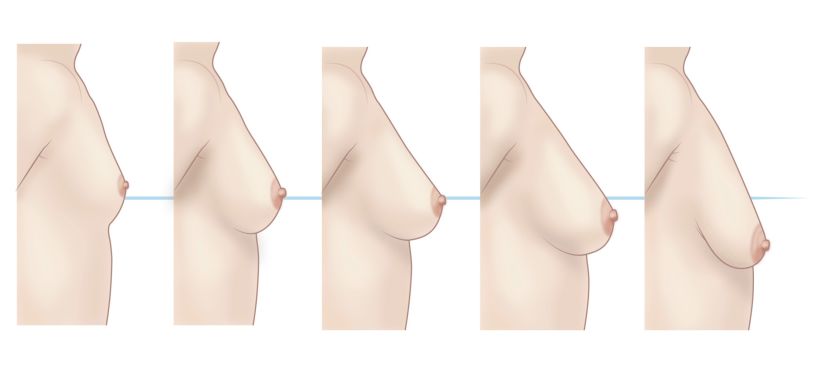 Ilustraciones anatómicas para cirugía 10
