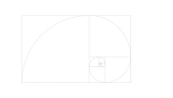 Comencé, a  través de una espiral de Fibonacci, a componer un boceto que hace alusión a los caídos en las marchas.