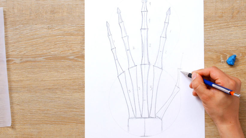 Tutorial Dibujo anatómico: cómo dibujar una mano 7