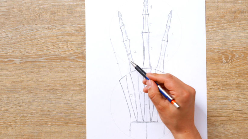 Tutorial Dibujo anatómico: cómo dibujar una mano 5