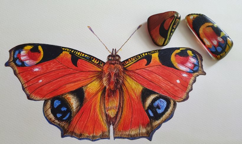 Butterflies 0