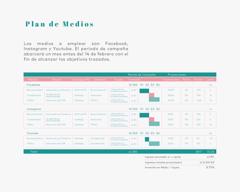 Plan de medios digitales Paramua 8