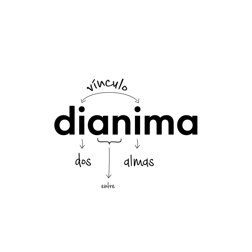 Branding Dianima 3