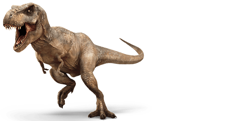 dinosaurios | Domestika