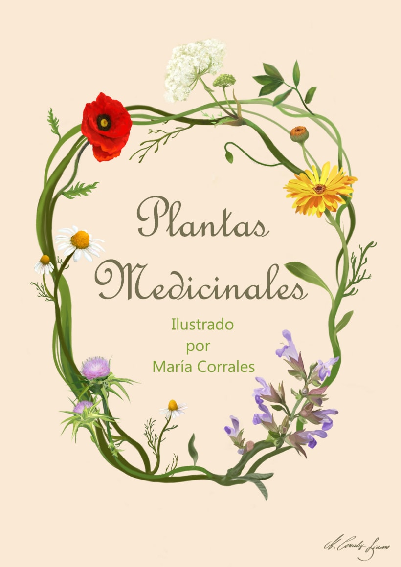Plantas medicinales | Domestika