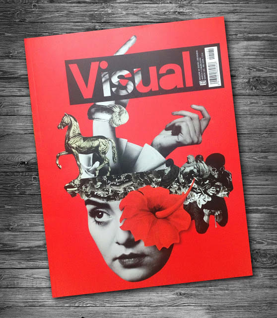 Portada para la revista Visual | Domestika
