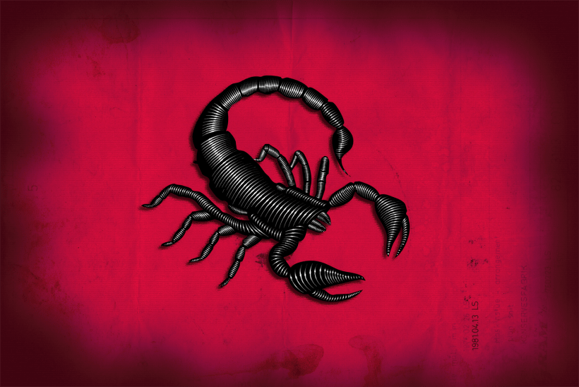 Scorpion | Domestika