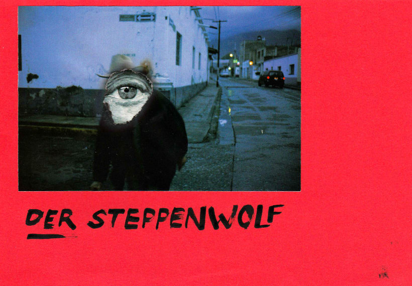 steppenwolf book cover