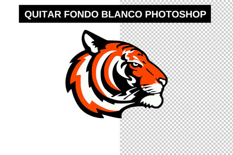Quitar Fondo Blanco Photoshop | Domestika