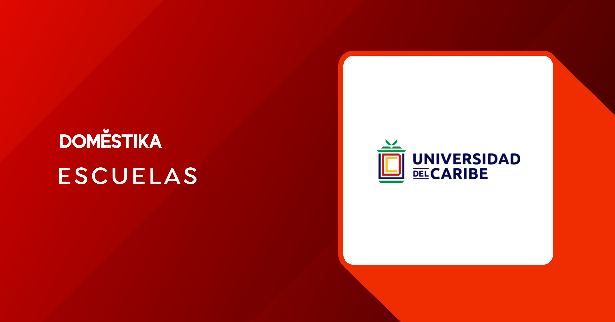 Universidad del Caribe (Unicaribe) Domestika